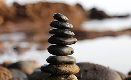 BhP1e5qQUKVU3VLvQaKf_pexels-pixabay-355863