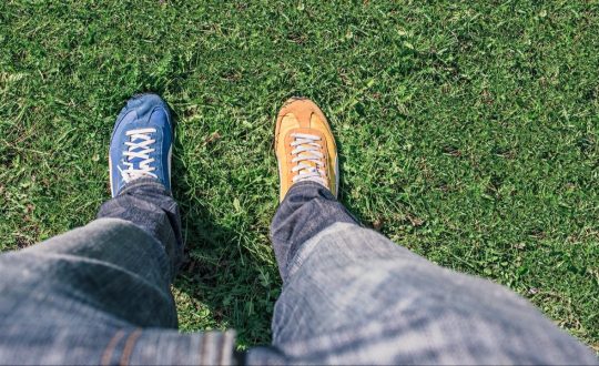 CWRdSmeSO4Ta8DYY9ewc_pexels-gratisography-539