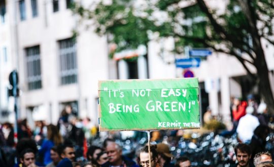 vcZ57ZH0ToO3t20DsrWA_pexels-photo-2990613