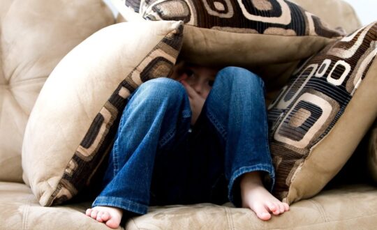 veT5JRNRyuuvQCMfwHKG_pexels-photo-262103