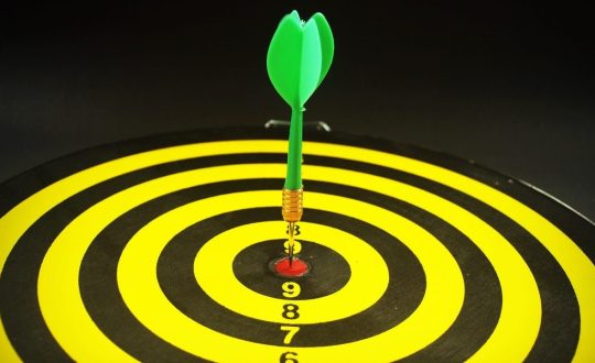 vxAqcK6SbyObZDKcGumN_pexels-iconcom-226579