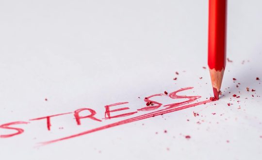 088e6-3346-8c2-3dc5-5212c53d34dd_pexels-pedro-figueras-202443-626165